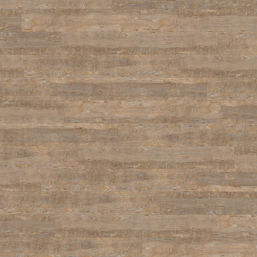 Amtico Spacia Bleached Elm - Glue Down LVT (2.02m² Box)